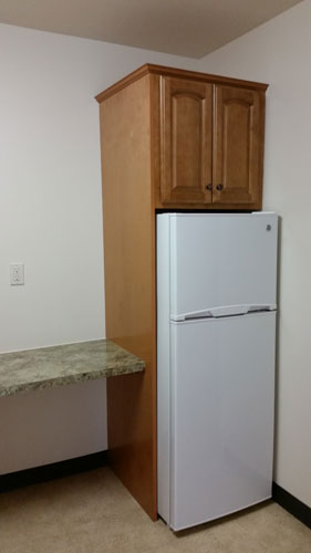 Senior Efficiency Apartment Kitchen Refrigerator